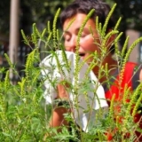 Metode za suzbijanje karantenskih korova